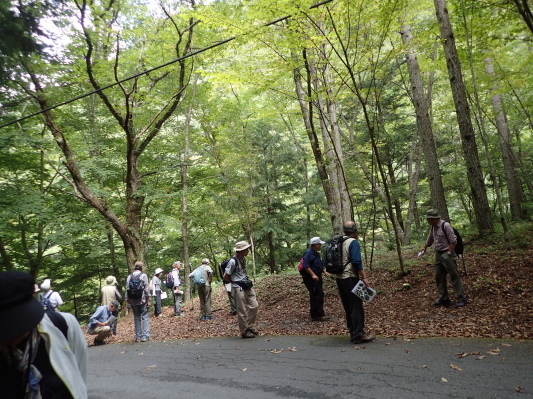 2019.10.1トラスト野外研修_f0131669_07233635.jpg