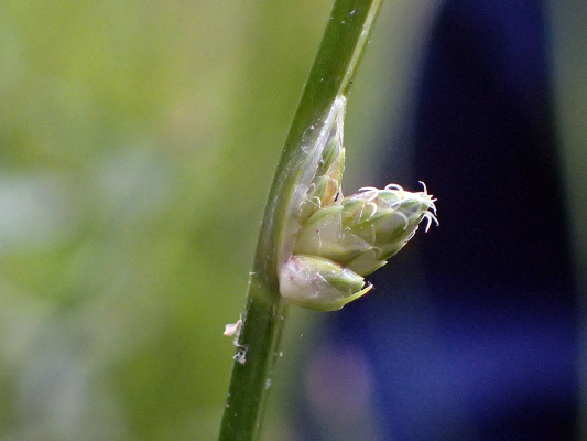 2018.8.20 岩殿_f0131669_10514800.jpg