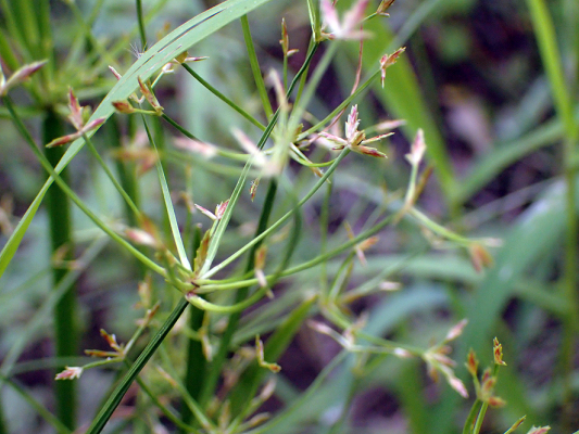 2018.8.20 岩殿_f0131669_10535543.jpg