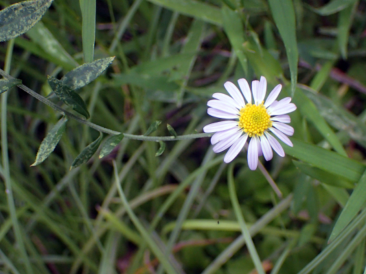 2018.8.20 岩殿_f0131669_10552427.jpg