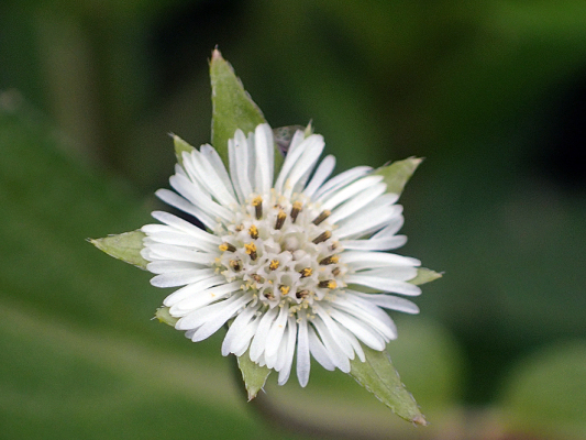 2018.8.20 岩殿_f0131669_12113657.jpg