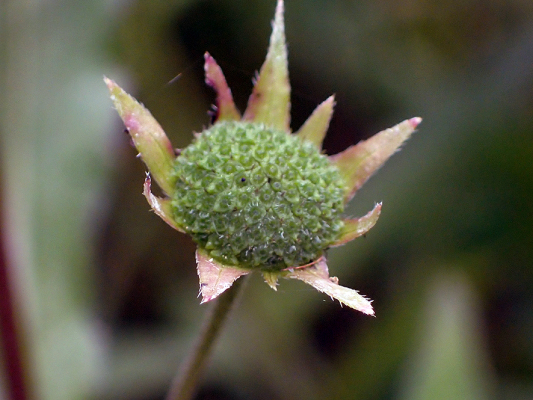 2018.8.20 岩殿_f0131669_12122728.jpg