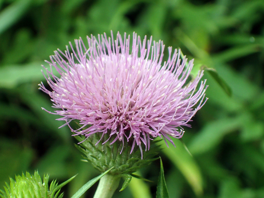 2018.8.20 岩殿_f0131669_12153378.jpg