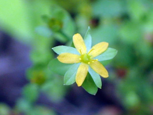 2018.8.20 岩殿_f0131669_12211689.jpg