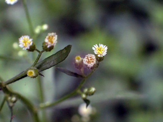2018.8.20 岩殿_f0131669_12240081.jpg
