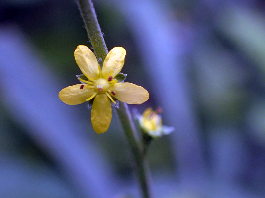 2018.8.20 岩殿_f0131669_12245286.jpg