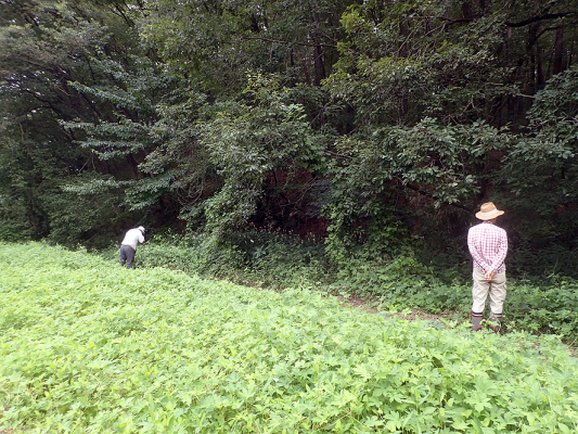 2018.8.20 岩殿_f0131669_12274147.jpg