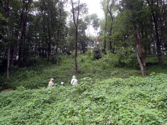 2018.8.20 岩殿_f0131669_12295634.jpg