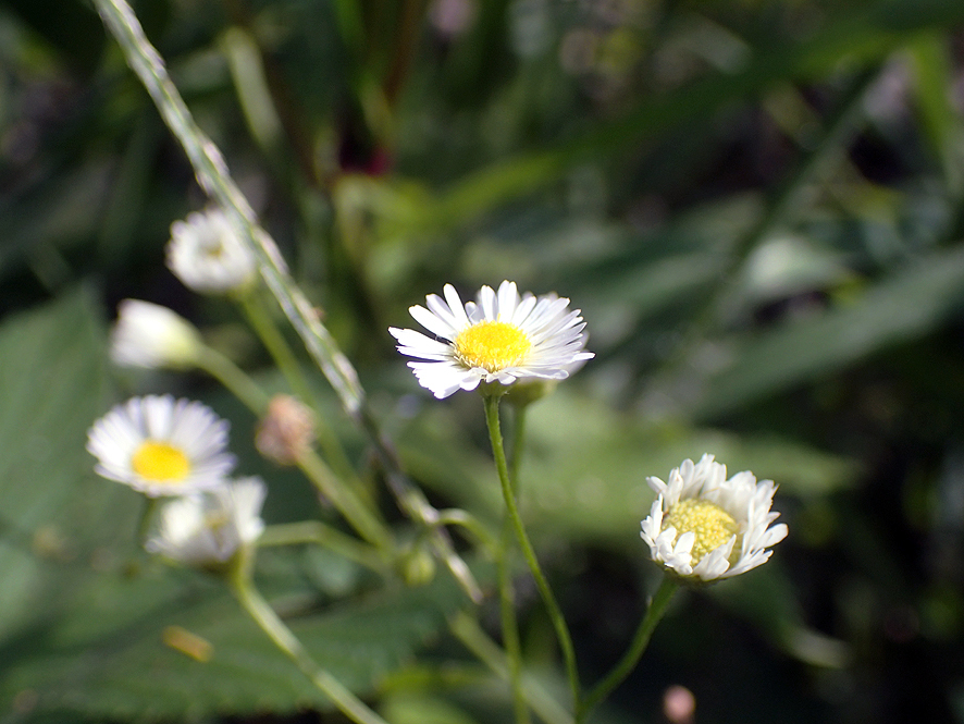 2018.8.20 岩殿_f0131669_12334343.jpg