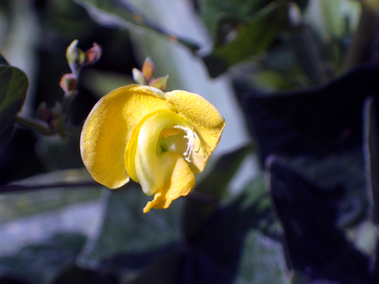 2018.8.20 岩殿_f0131669_12354630.jpg