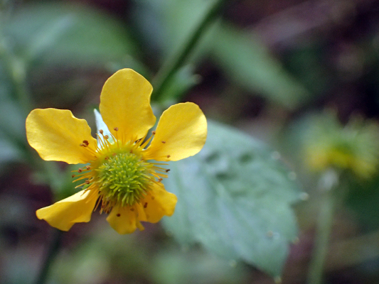2018.8.20 岩殿_f0131669_12374137.jpg