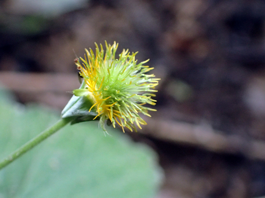 2018.8.20 岩殿_f0131669_12380757.jpg