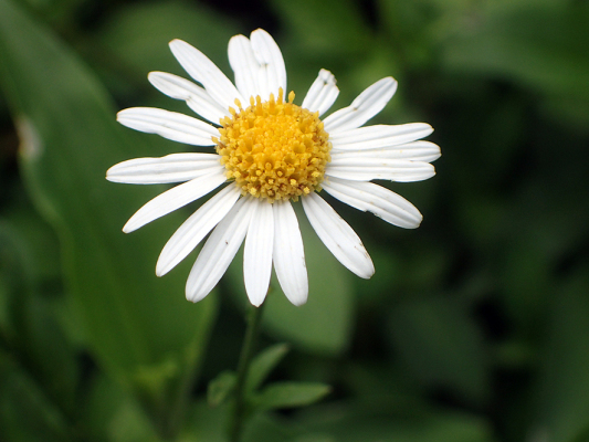 2018.8.20 岩殿_f0131669_12402087.jpg