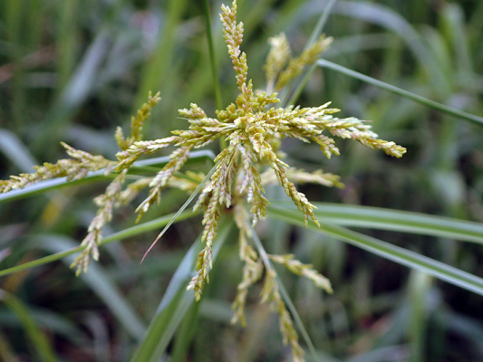 2018.8.20 岩殿_f0131669_12444711.jpg