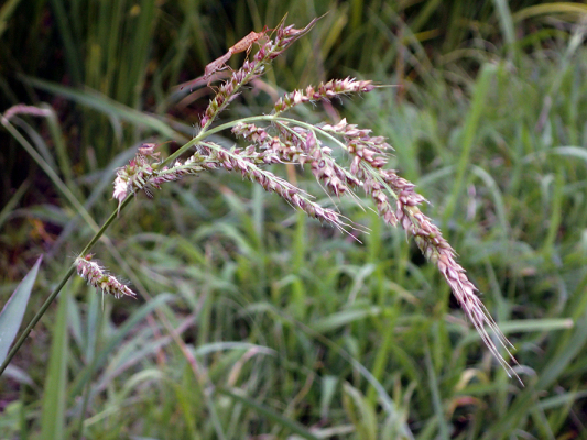 2018.8.20 岩殿_f0131669_12461063.jpg