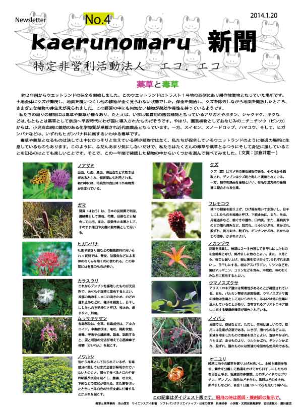 ニュースレターNo.4_f0131669_16373274.jpg