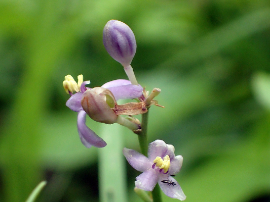 2018.7.16 岩殿_f0131669_20055332.jpg