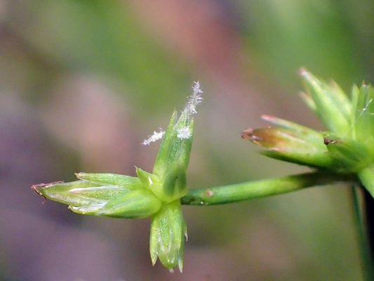 2018.7.16 岩殿_f0131669_20072694.jpg