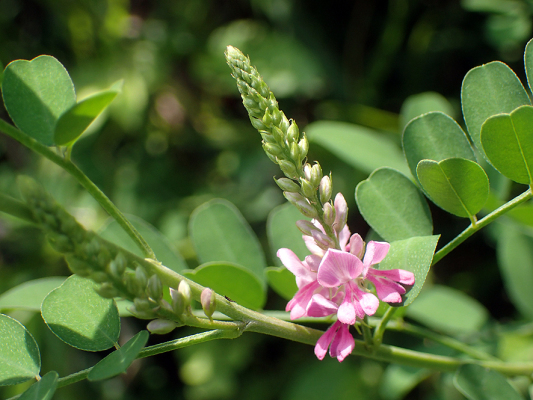 2018.7.16 岩殿_f0131669_20135324.jpg