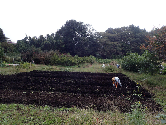 2017.10.3　エコ畑_f0131669_20185648.jpg
