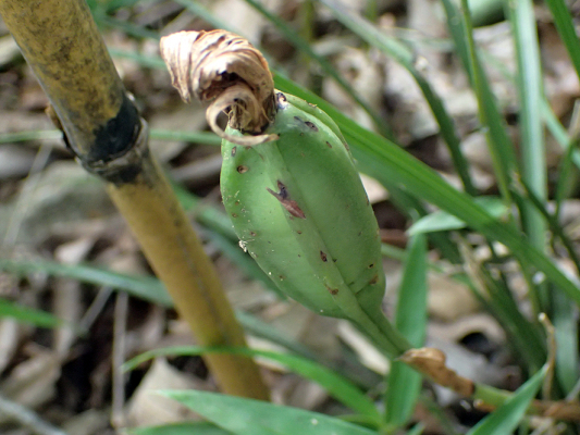 2018.7.16 岩殿_f0131669_20213367.jpg