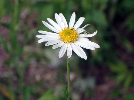 2018.7.16 岩殿_f0131669_20222199.jpg