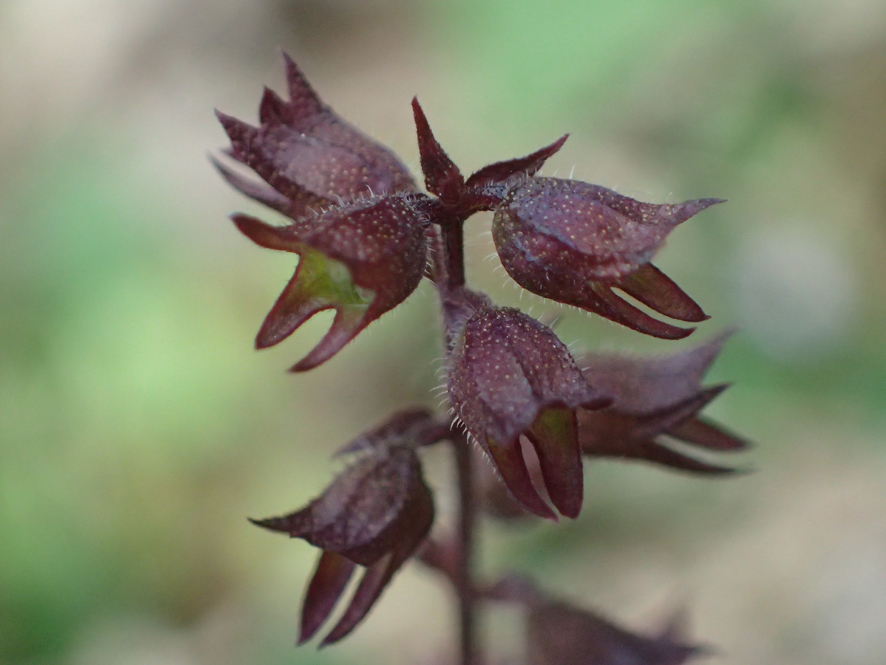 2018.11.11〜13 フォント竹切り_f0131669_22425110.jpg