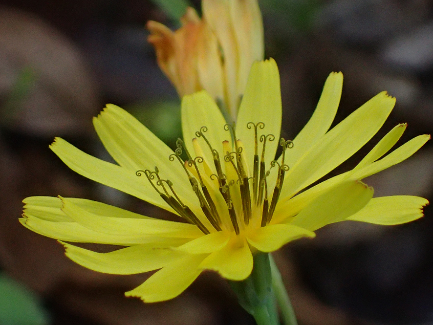 2018.11.11〜13 フォント竹切り_f0131669_22501659.jpg