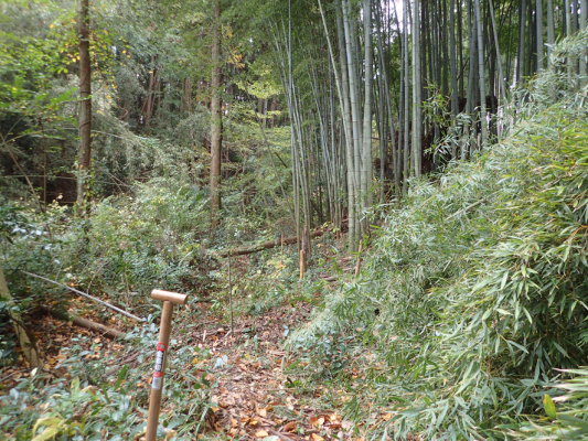 2018.11.11〜13 フォント竹切り_f0131669_22530833.jpg