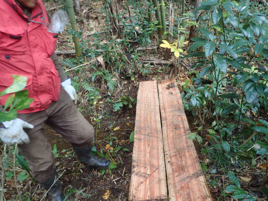 2018.11.11〜13 フォント竹切り_f0131669_22543045.jpg